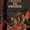 Chiens de prairie